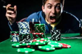 Официальный сайт AVOCADO CASINO
